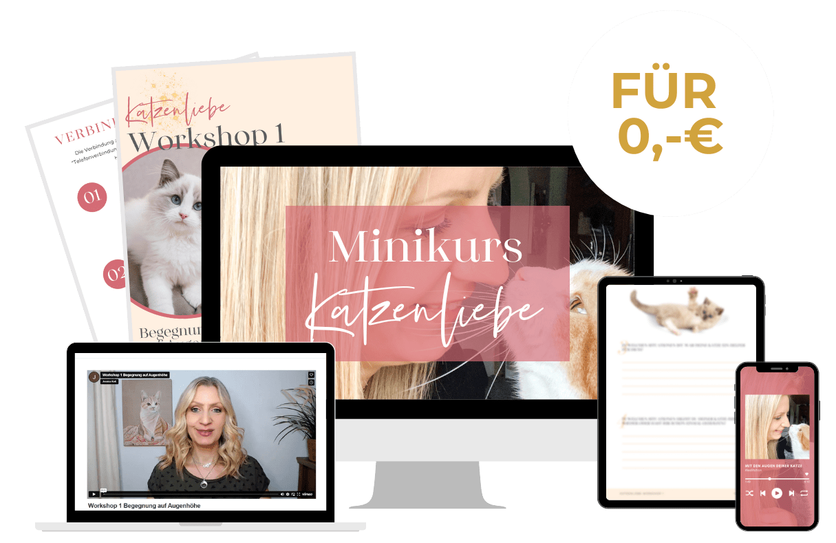 Mockup Minikurs Katzenliebe