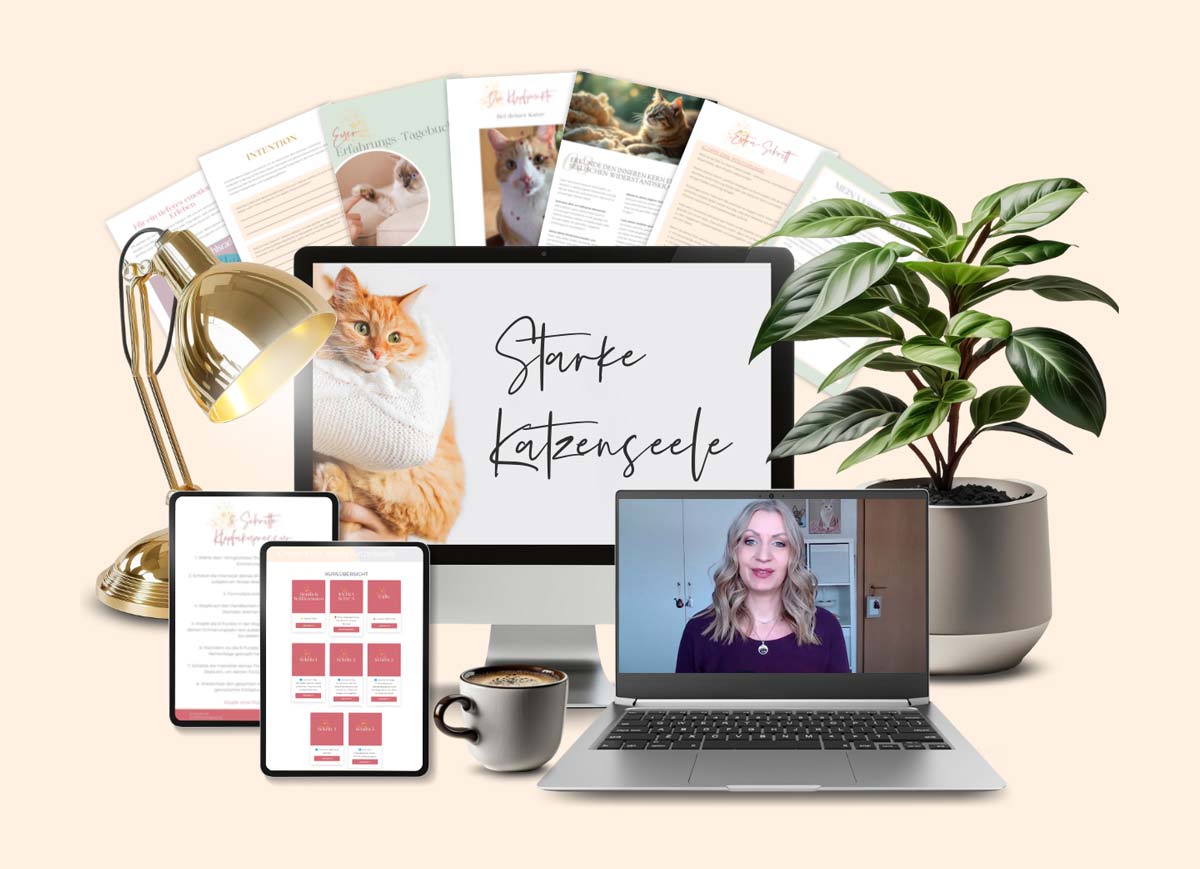 Mockup mit Inhalten vom Onlinekurs Starke Katzenseele mit hellgelbem Hintergrund
