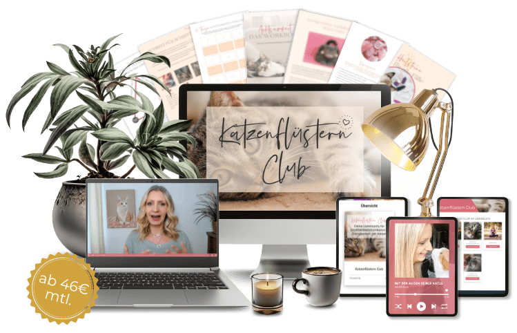 Mockup mit Inhalten der Membership Katzenflüstern Club